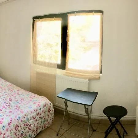 Villa Casa Cu Flori