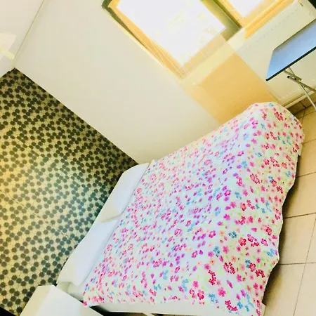 Villa Casa Cu Flori